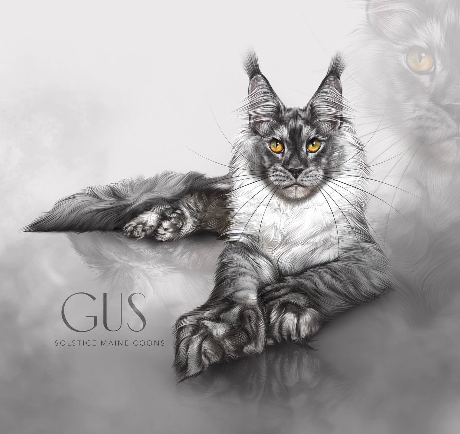 Polydactyl Maine Coon Gus showing his large extra-toed front paws. An artistic illustration of Gus, an 8-month-old black smoke polydactyl Maine Coon kitten