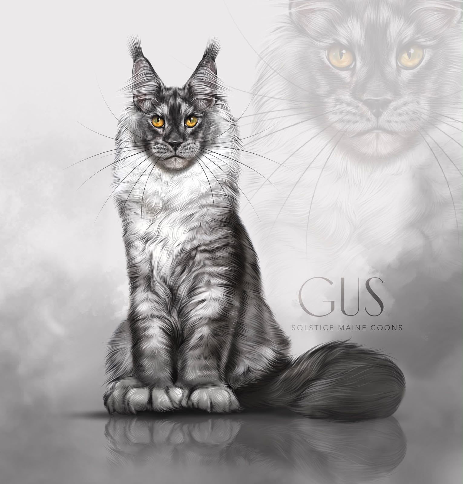 Gus | Black Smoke Polydactyl Maine Coon